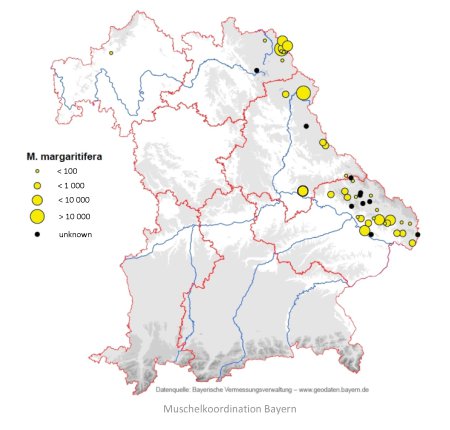Verbreitung der Flussperlmuschel in Bayern
