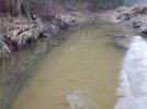 Stark verschlammter Abschnitt eines Flussperlmuschelgewässers