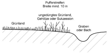 Schematische Darstellung eines Pufferstreifens in Grünland