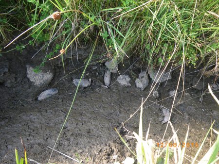 Ausgetrockneter Bach