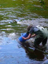 Muschelsuche mit Aquascope