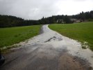 Eintrag von Feinsedimenten
