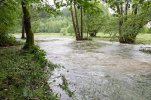 Hochwasser in einem Flussperlmuschelgewässer (gleicher Bach wie auf Bild 1) ©Felix Grunicke