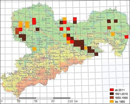 Historische und aktuelle Verbreitung der Malermuschel (Unio pictorum) in Sachsen
