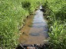 Bioindikationsbehälter im Gewässer